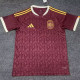 2026-27 Spain Brown Special Edition Fans Soccer Jersey (白袖边)