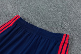 2026-27 Bayern Gray Blue Training Short Suit