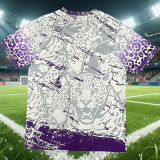 2026-27 Brazil Purple Special Edition Training shirts