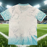 2026-27 Brazil Blue White Special Edition Training shirts