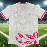2026-27 Brazil Pink White Special Edition Training shirts