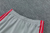2026-27 LIV Grey Jacket Tracksuit