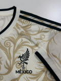 2026-27 Mexico ‌Beige Special Edition Player Version Training shirts