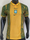 2026-27 Brazil Special Edition Player Version Training shirts