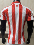 2026-27 Sunderland Home Player Version Soccer Jersey