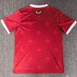 2026-27 Wales Sudu Home Fans Soccer Jersey