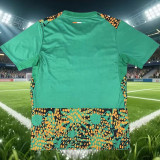 2026-27 Ivory Coast Green Training shirts
