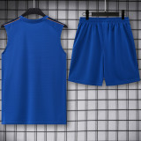 2026-27 France Fancy blue Tank top and shorts suit