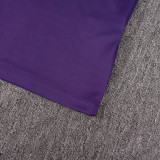 2026-27 RMA Purple Retro Training Short Suit