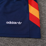 2026-27 Spain Royal blue Training Short Suit