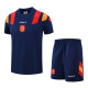 2026-27 Spain Royal blue Training Short Suit