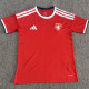 2026-27 Czech AD Home Fans Soccer Jersey