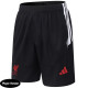 2026-27 LIV Black Player Version Training Shorts Pants (球员短裤)