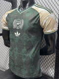 2026-27 ARS Green Special Edition Player Version Training Shirts