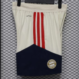 2026-27 Bayern Khaki Player Version Training Shorts Pants (球员短裤)