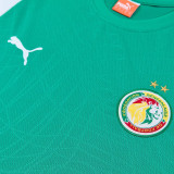 2026-27 Senegal Green Training Short Suit