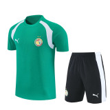 2026-27 Senegal Green Training Short Suit