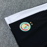 2026-27 Senegal Green Training Short Suit