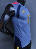 2026-27 Bayern Grey ‌Player Version Training Vest (球员版)