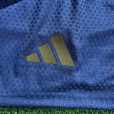 2026-27 Bayern Blue Grey Player Version Training Shorts Pants (球员短裤)
