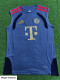 2026-27 Bayern Grey ‌Player Version Training Vest (球员版)