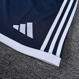2026-27 LIV Royal blue Training Short Suit