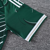 2026-27 LIV Dark green Training Short Suit