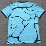 2026-27  ES Troyes AC Third Fans Soccer Jersey