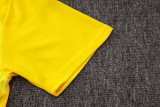 2026-27 Dortmund Yellow Training Short Suit #J26097