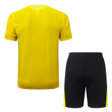 2026-27 Dortmund Yellow Training Short Suit #J26097