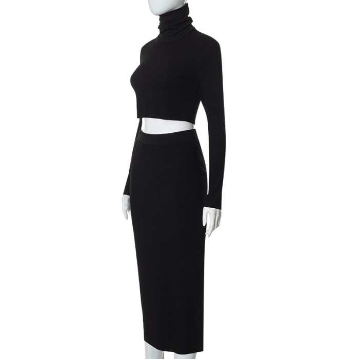 Women's Fall Sexy Crop Long Sleeve Bodycon Two-Piece Suit