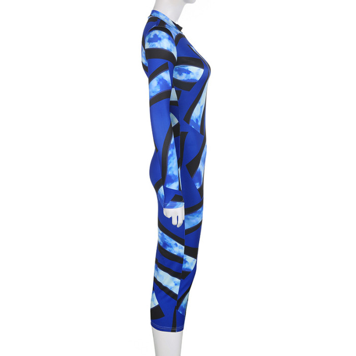 Women Color Block Print Round Neck Long Sleeve Maxi Dress