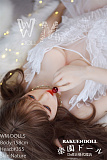 #355ヘッド & 158cm D-cup TPE製ラブドール WMdoll