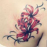 C32ヘッド & 156cm B-cup  シリコン製ラブドール  IL doll