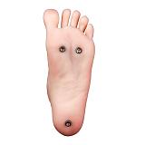Nataliaヘッド & 158cm I-cup TPE製ラブドール irontechdoll