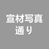 【A工場】R33ヘッド & 168cm Cカップ TPE製ラブドール ボディ素材選択可能 realgirl