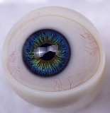 23ヘッド & 163cm F-cup シリコン頭部+TPEボディ Sanmudoll