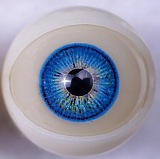 23ヘッド & 163cm F-cup シリコン頭部+TPEボディ Sanmudoll