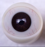 46ヘッド & 126cm AA-cup シリコンヘッド tpeボディ Sanmudoll