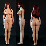 【戦闘版ボディ】S43ヘッド & 167cm F-cup フルシリコン製ラブドール  Sino-doll