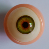 【二次元＆萌え萌え】Qita Doll フルシリコン製ドール #伊一ヘッド 125cm Cカップ リアルラブドール