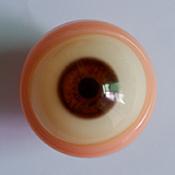 【二次元＆萌え萌え】Qita Doll フルシリコン製ドール #伊一ヘッド 125cm Cカップ リアルラブドール