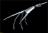 ZELEXDOLL 新ボディー175cm Eカップ GE03-1 フルシリコン製 等身大リアルラブドール