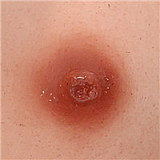 【ロリ】小怜梦ヘッド 123cm Cカップ フルシリコンドール JYdoll