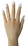 フルシリコン製ラブドール JYDOLL 163cm Fカップ 智敏ヘッド 身体リアルメイク無料付き