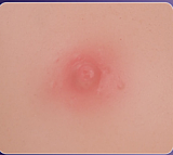 【パイプダンス娘】洛水（Luoshui）2.0ヘッド＆163cm Fカップ お姉さんタイプ フルシリコン製ラブドール 身体リアルメイク無料付き  JYDOLL