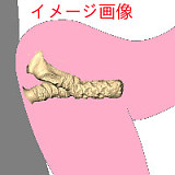 A2ヘッド & 155cm B-cup フルシリコン製ラブドール Originalジョイント版