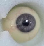 人造人(RZRDOLL) no.20 曼娜（manna）ヘッド 163cm Eカップ 口開閉機能選択可能 ヘッドとボディ自由に組合 等身大 フルシリコン製ラブドール