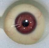 允熙ヘッド & 168cm F-cup フルシリコン製ラブドール RZRdoll