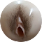 描くタイプ陰毛（#1）